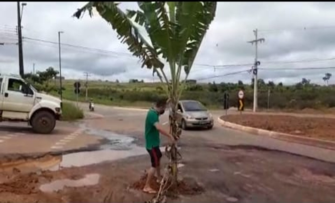 Moradores plantam bananeira em buraco na Estrada do Calafate
